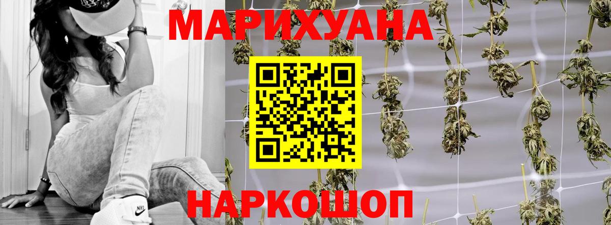 Шатура  Бошки марихуана сатива  Марихуана планчик  Вход с VPN  Бошки Шишки тримм  МАРИХУАНА марихуана 